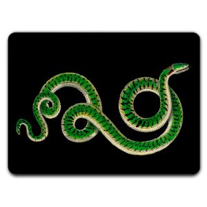 Sottopiatto con serpente verde