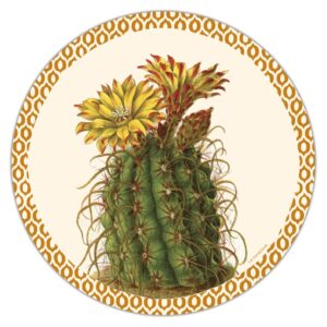 Grand Cayman Cactus