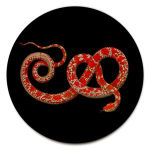 Sottopiatto fondo nero con serpente rosso