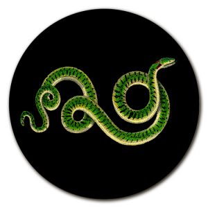 Sottopiatto fondo nero con serpente verde